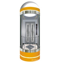 Ascenseur panoramique standard en acier inoxydable Hairline